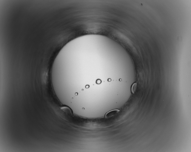 X0000089850596200707121719