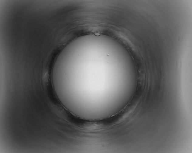 X0000089850597200707121719