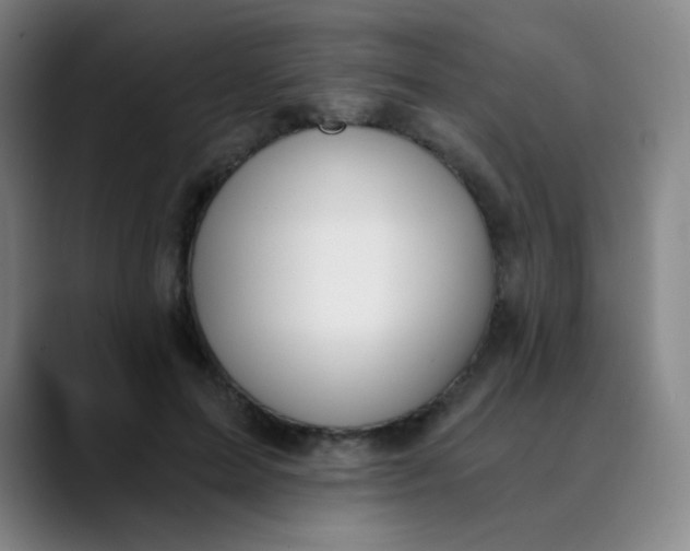 X0000089850599200707121719