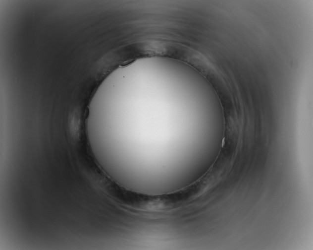 X0000089850600200707121719