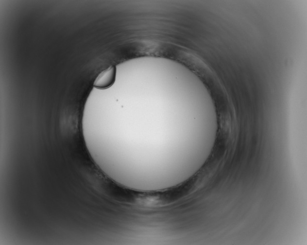 X0000089850602200707121719