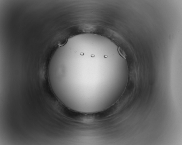 X0000089850604200707121719