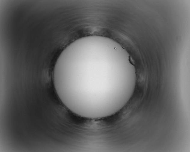 X0000089850607200707121719