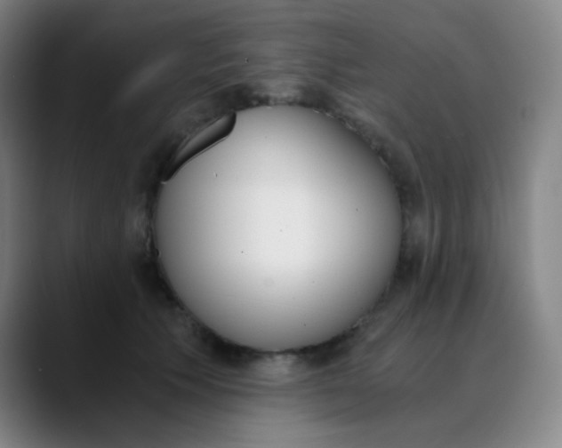 X0000089850609200707121719