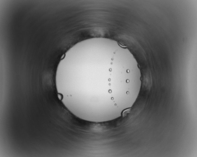 X0000089850616200707121719