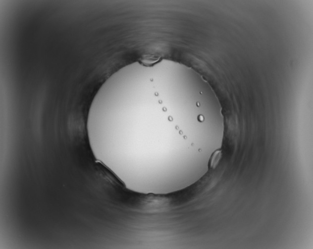 X0000089850617200707121719