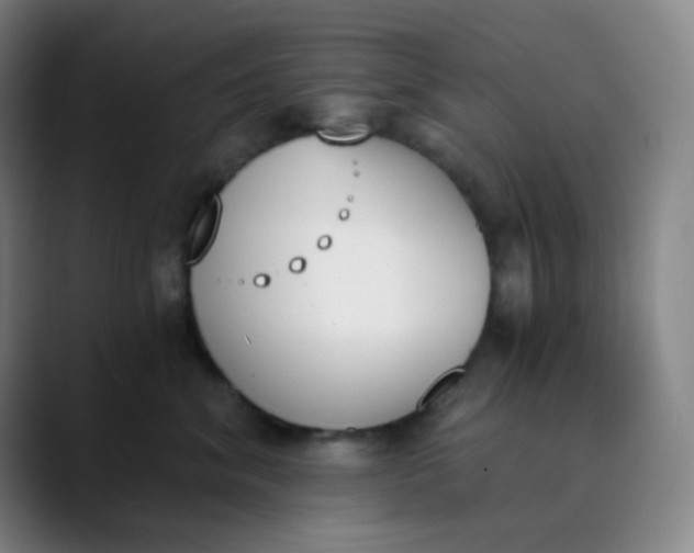 X0000089850620200707121719