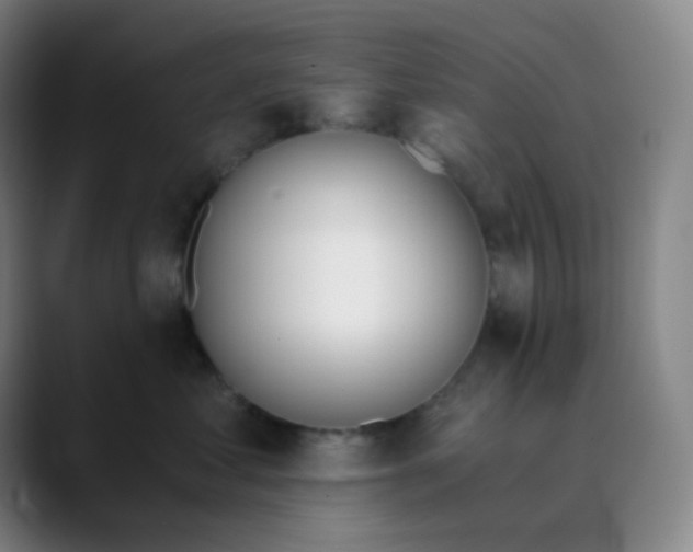 X0000089850621200707121719