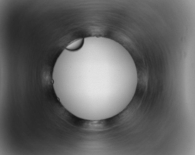 X0000089850622200707121719
