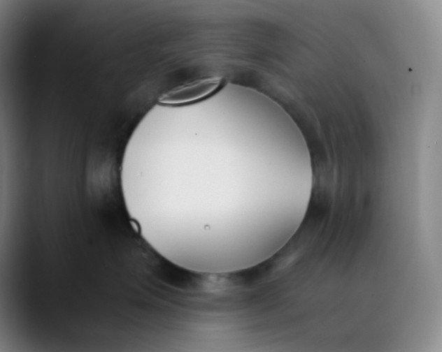 X0000089850623200707121719