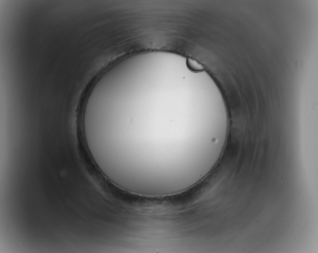 X0000089850626200707121718