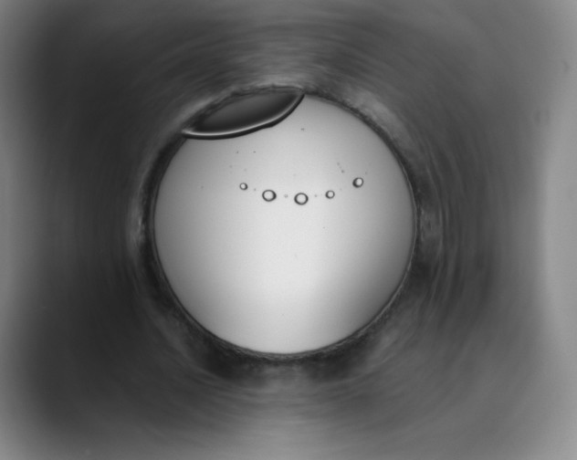 X0000089850628200707121718