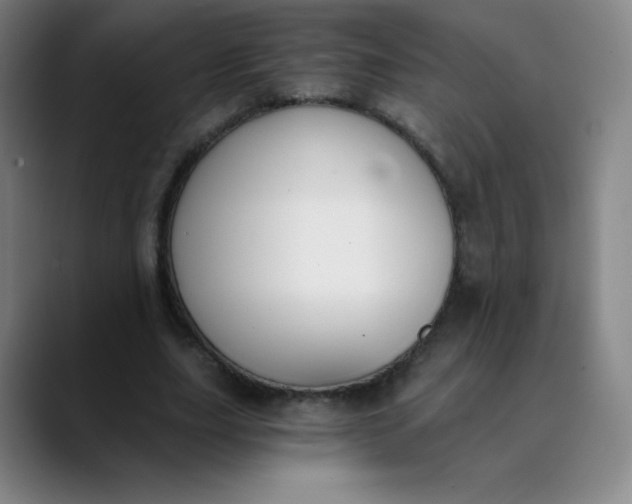 X0000089850631200707121718