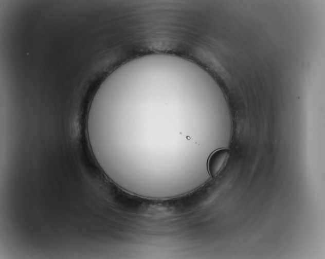 X0000089850635200707121718