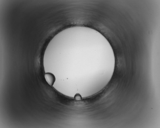 X0000089850636200707121718