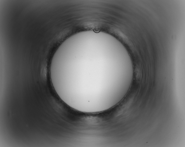 X0000089850637200707121718