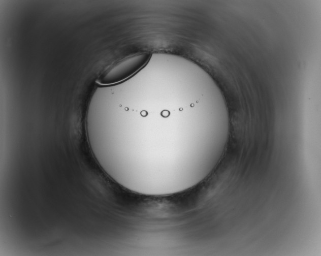 X0000089850642200707121718