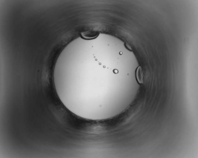 X0000089850643200707121718