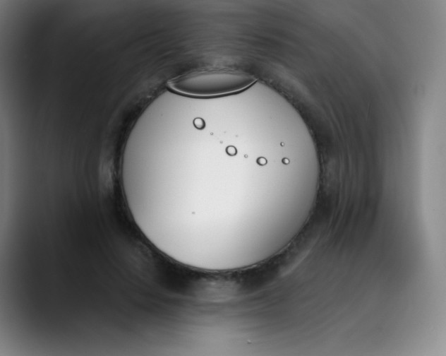 X0000089850644200707121718