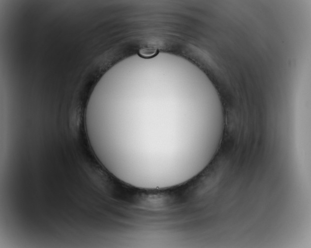 X0000089850645200707121718