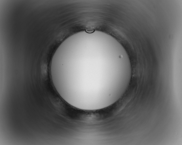 X0000089850646200707121718