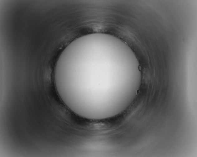 X0000089850650200707121719
