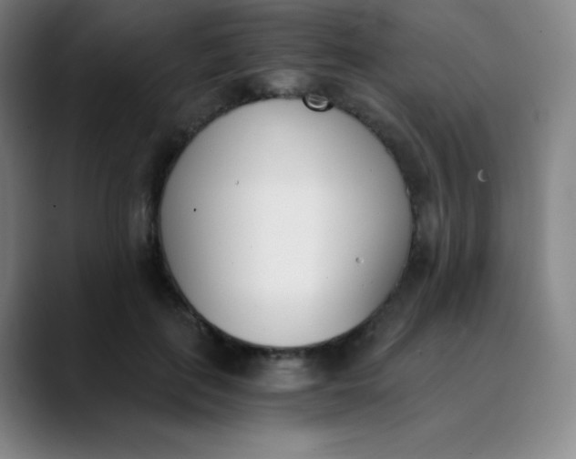 X0000089850651200707121719