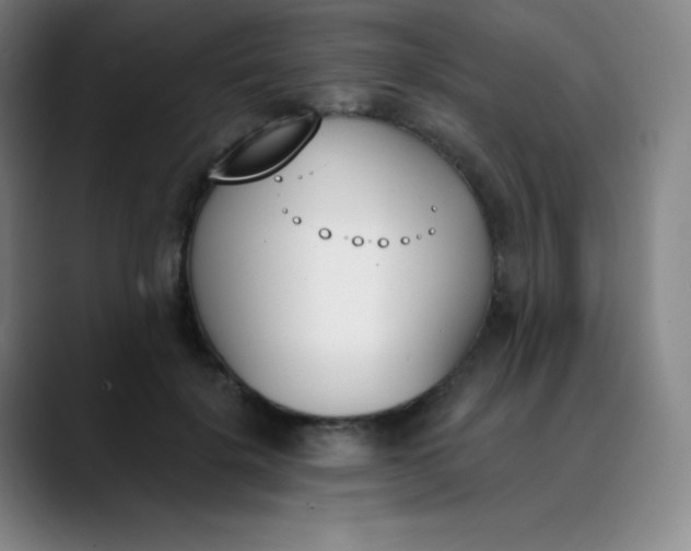 X0000089850652200707121719