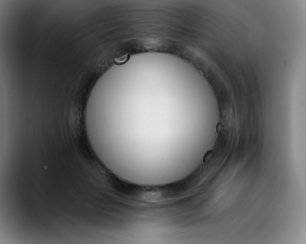 X0000089850653200707121719