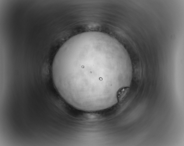 X0000089850654200707121719