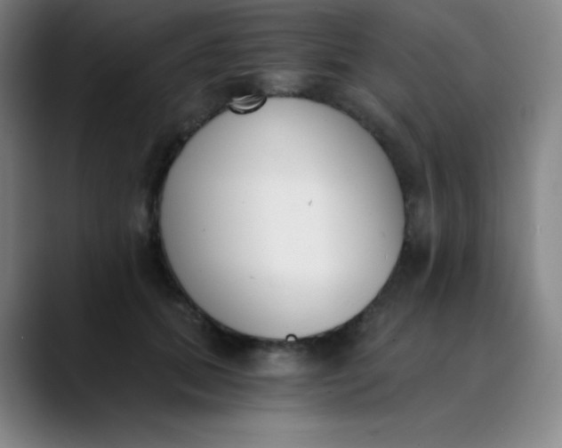 X0000089850655200707121719