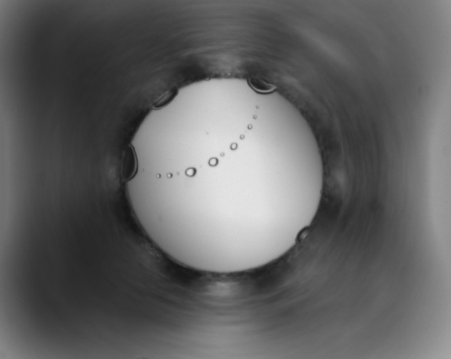 X0000089850658200707121719