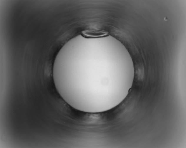X0000089850665200707121719