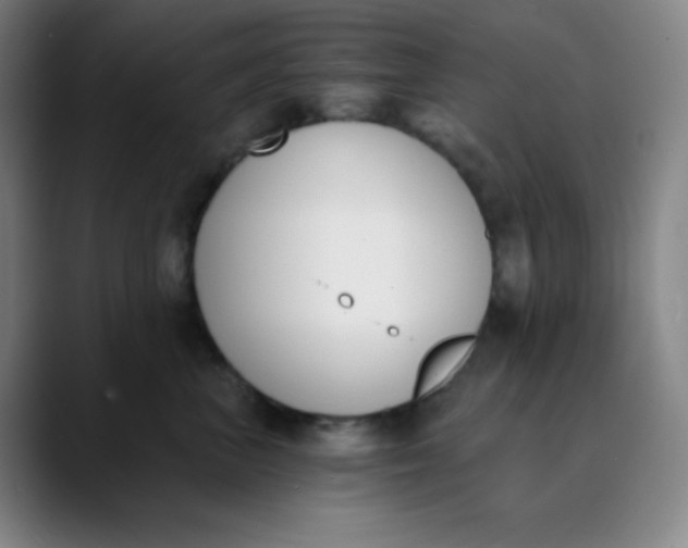 X0000089850667200707121719