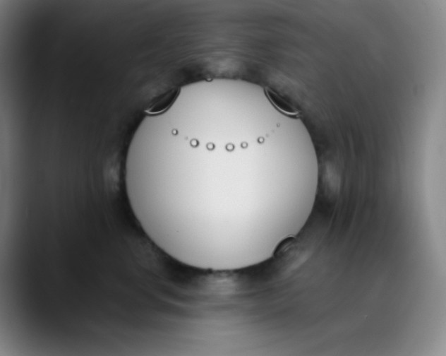 X0000089850668200707121719