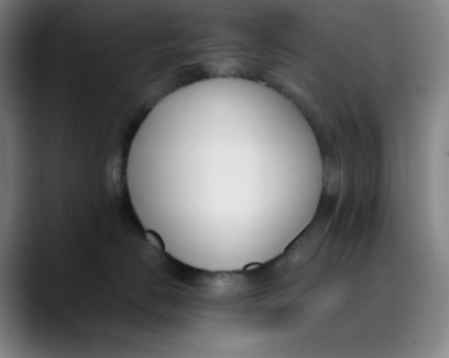 X0000089850670200707121719