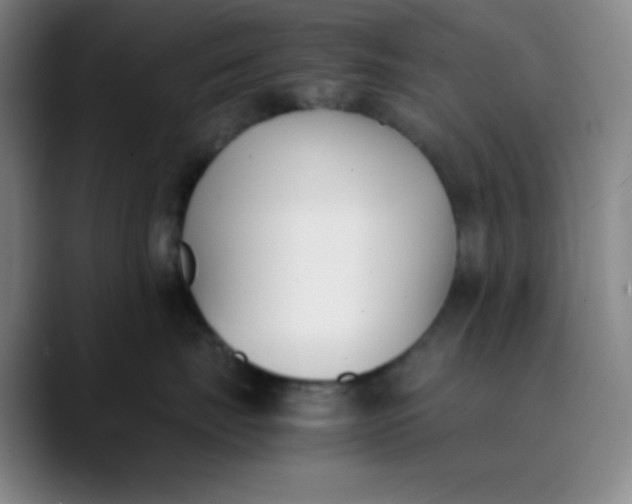 X0000089850671200707121719