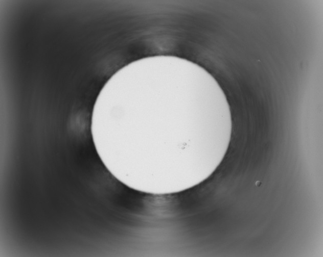 X0000089850672200707121719