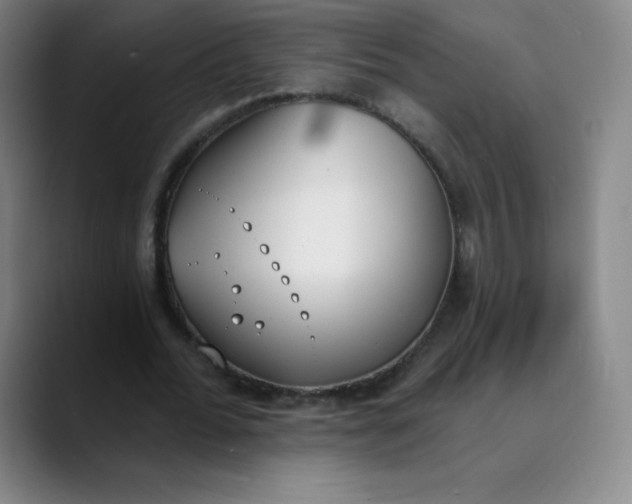 X0000089850676200707121718