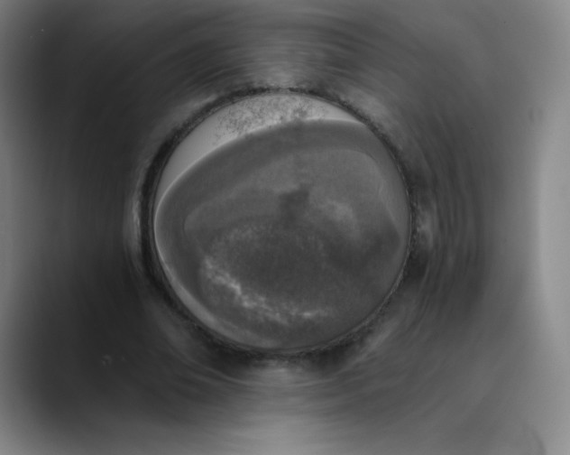 X0000089850678200707121718