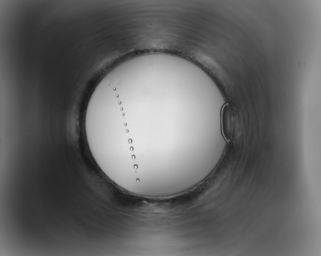 X0000089850680200707121718