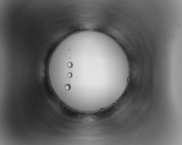 X0000089850683200707121718