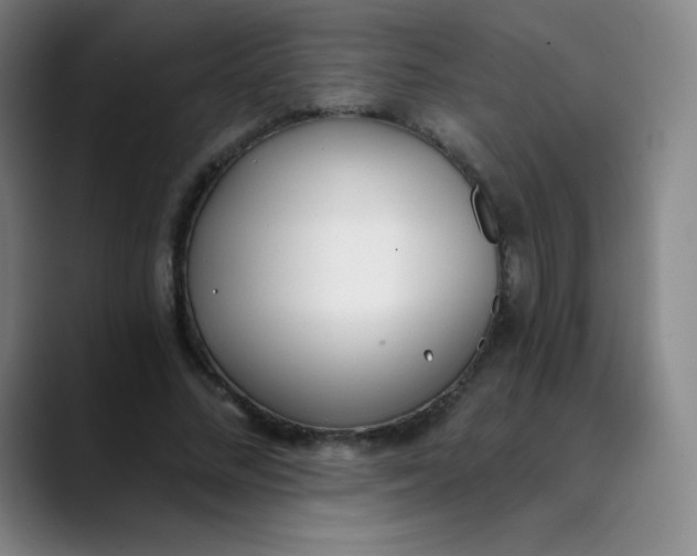 X0000089850684200707121718