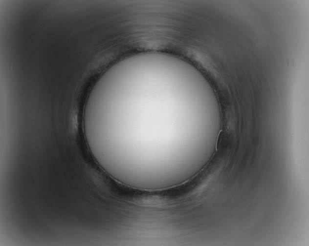X0000089850685200707121718