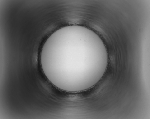 X0000089850686200707121718