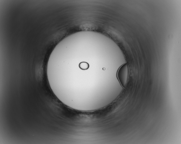 X0000089850690200707121718