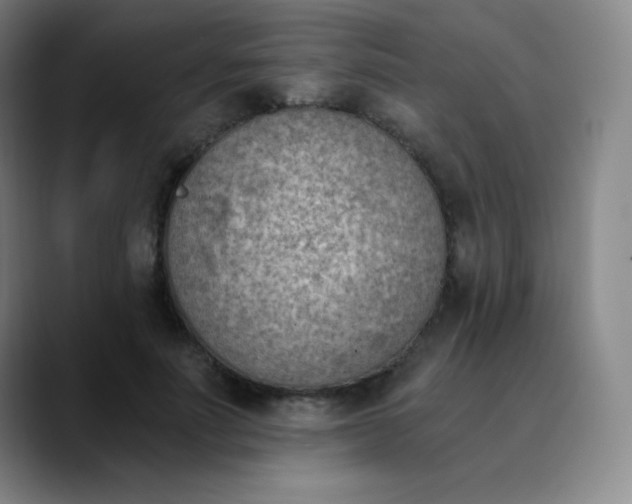 X0000089850691200707121718