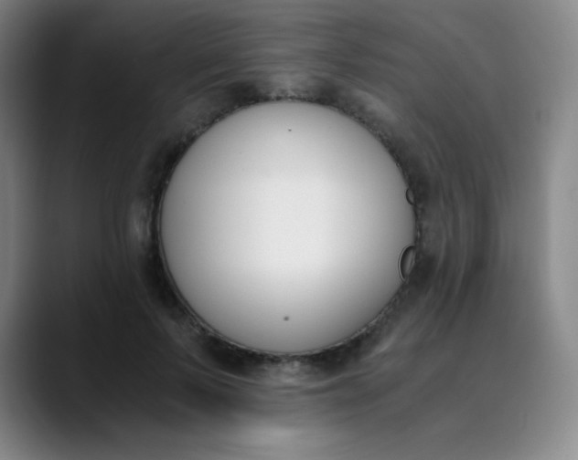 X0000089850695200707121718