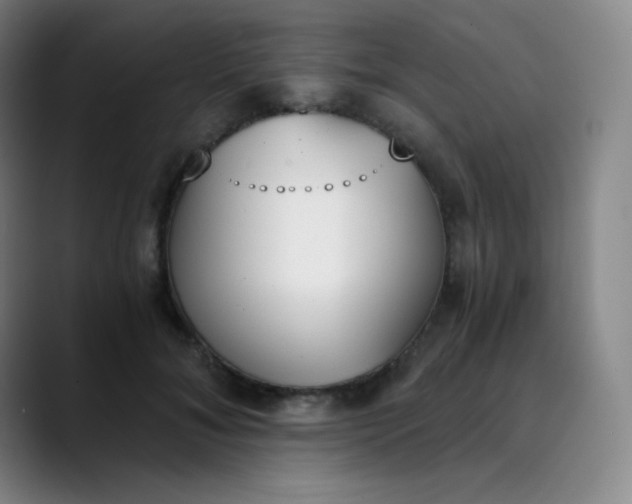 X0000089850700200707121718