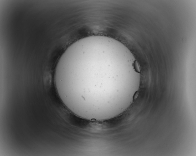 X0000089850703200707121718